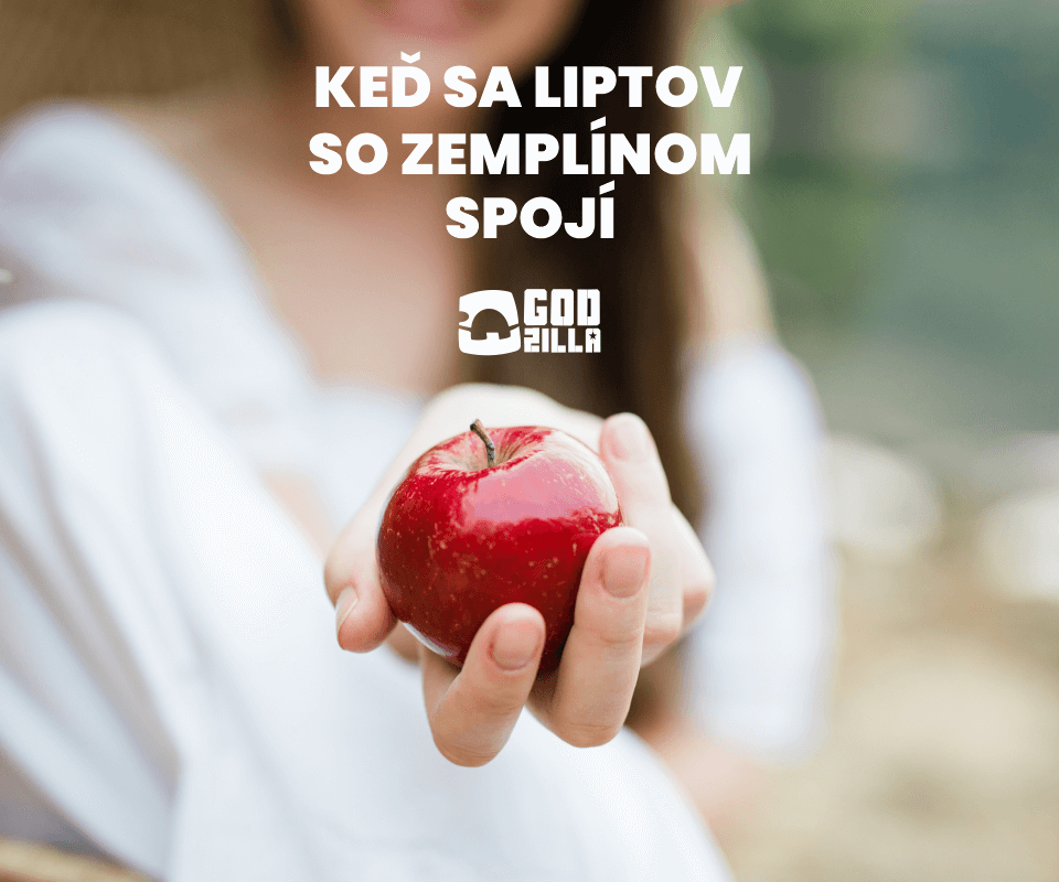 kolestik reklamná agentúra michalovce skvelý nápad