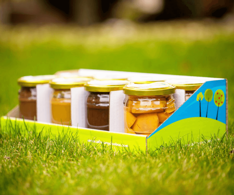 kolestik reklamná agentúra michalovce