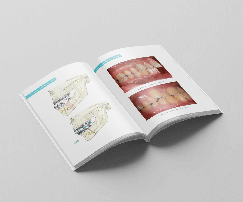 kolestik reklamná agentúra michalovce