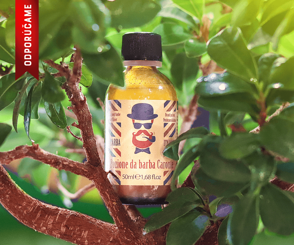 michalovce reklamná agentúra kreativita kolestik skvely napad