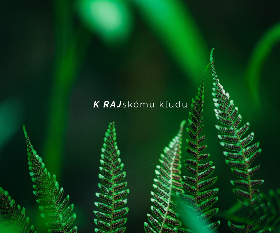 kolestik kolestikcreative skvely napad reklamna agentura michalovce chalupa pod carinkou kosice